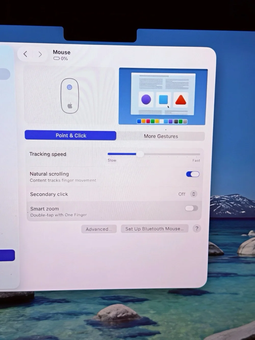Apple Magic Mouse in White